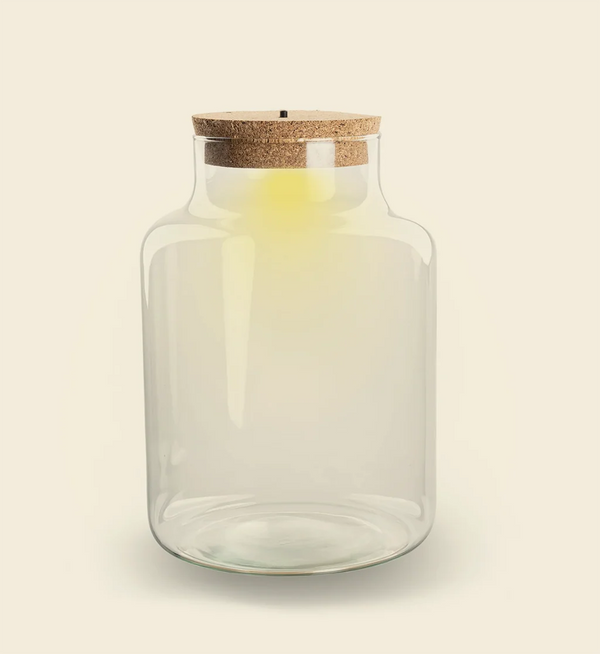 Glazen pot met kurken LED-deksel dat warm licht geeft, van Miniatures Guild