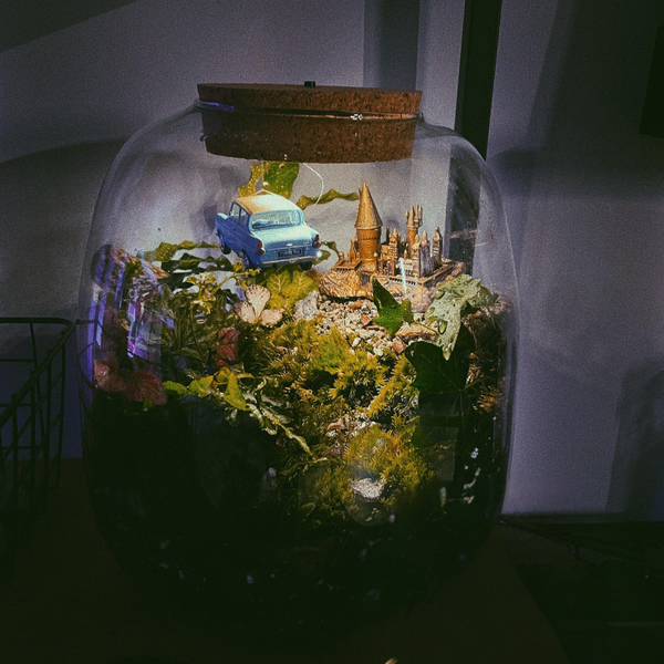 Groot geek terrarium met een vliegende auto en een gouden kasteeltje, uit de nerdy terrarium workshop door Miniatures Guild