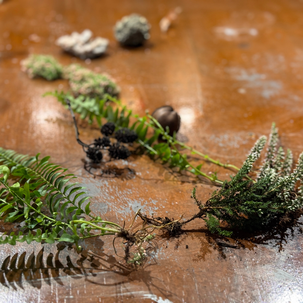 Varens, heide, mos en dennenappels klaargelegd voor de terrarium workshop door Miniatures Guild
